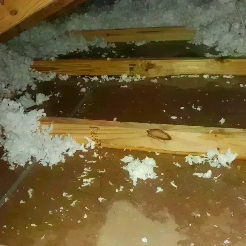 Attic Water Damage in West Liberty, IA