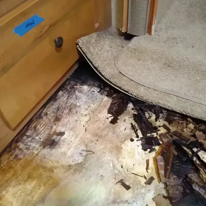 Wood Floor Water Damage in West Liberty, IA